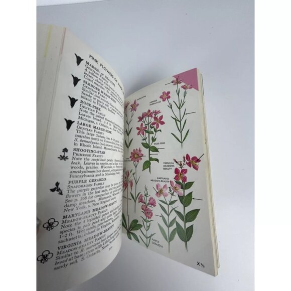 A Field Guide To Wildflowers Peterson McKenny 1968‎ NE & NC North America - Picture 8 of 9